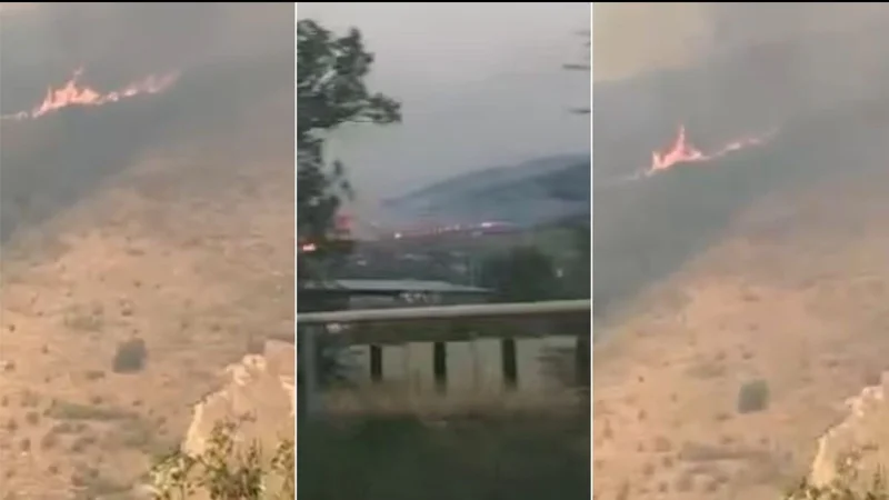 Пожар в Алматинской области полностью ликвидировали