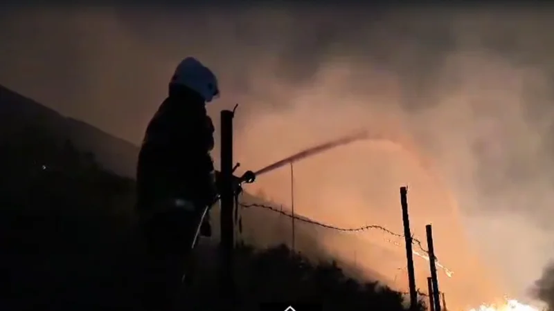 В Алматы тушат возгорание сухой травы на склоне горы Кенсай-1