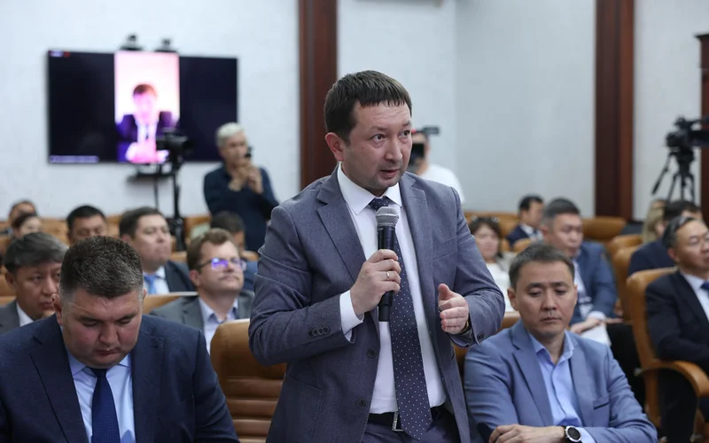 С какими проблемами сталкиваются инвесторы в Костанайской области