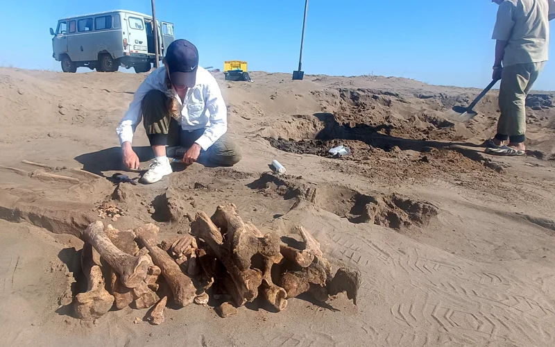 Погребение эпохи Великого переселения народов нашли в Павлодарской области