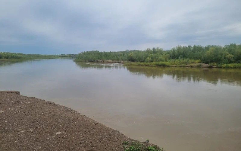 река Жайык п