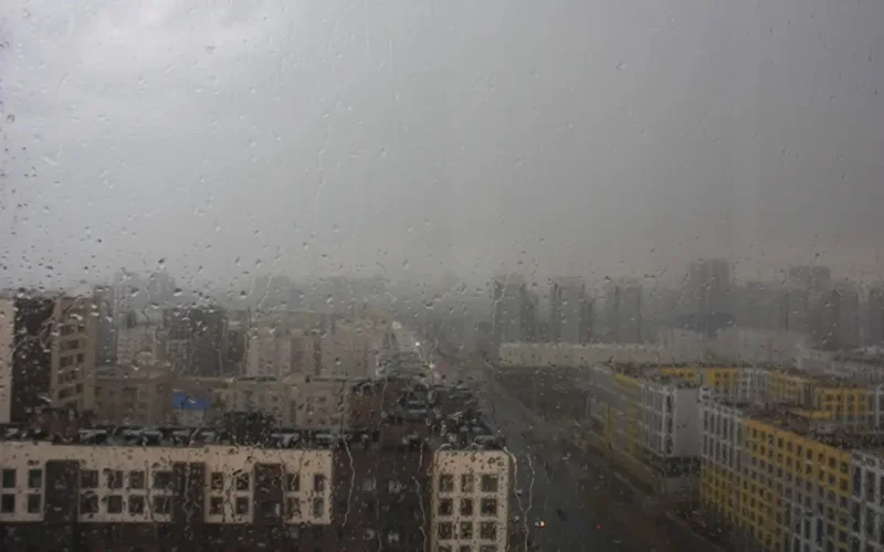 Rain