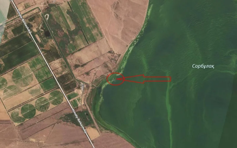 Search area
