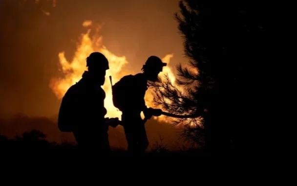 Лесные пожары в Турции: арестованы 17 человек 