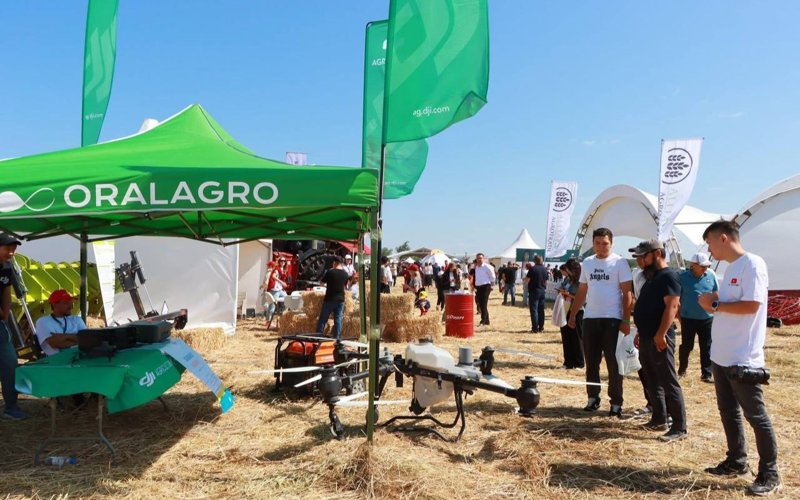 agrofestıval
