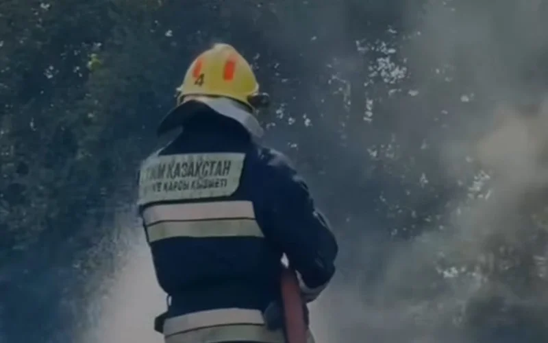 Firefighter