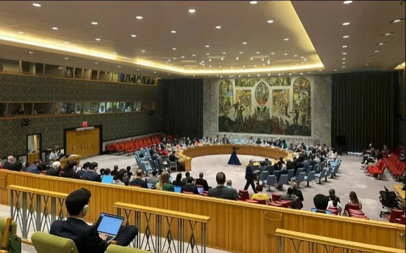 Камбоджа мен Таиланд БҰҰ Қауіпсіздік Кеңесінің шекара қақтығысы жөніндегі отырысында сөз сөйледі