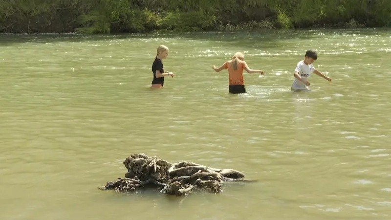 bala, shomylý