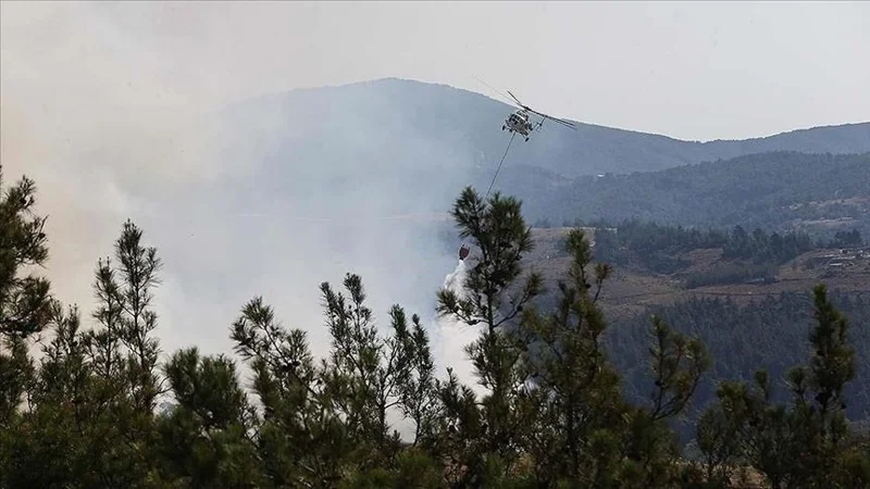 лесные пожары в Турции