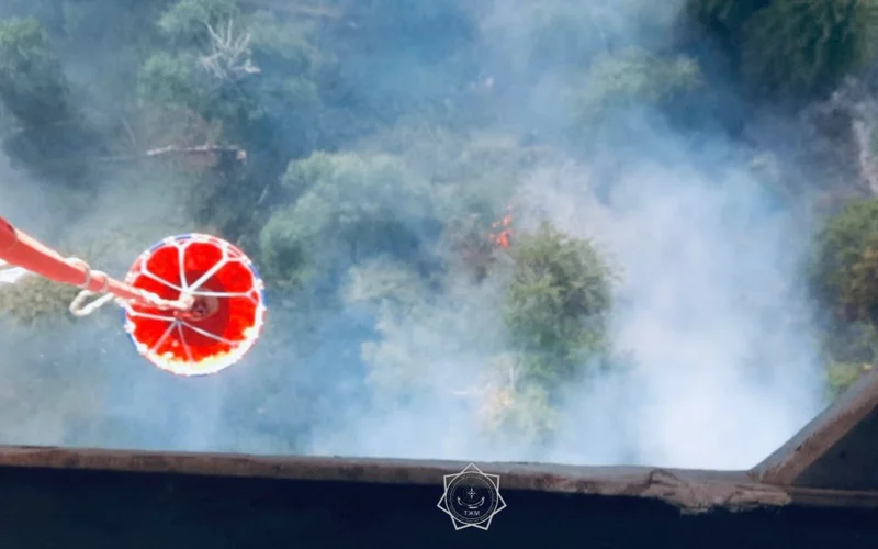 Пожар в урочище Кокмойын в области Жетысу