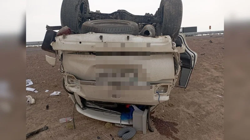 внедорожник перевернулся в Жамбылской области