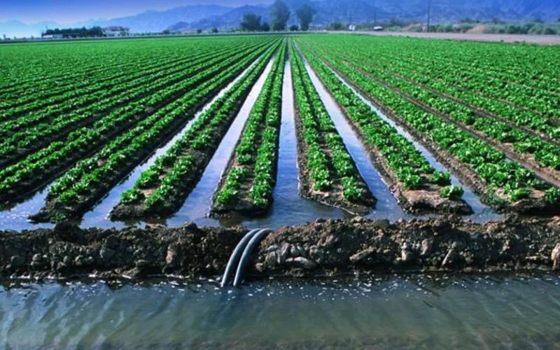 С начала текущего поливного периода водозабор на нужды сельского хозяйства в Казахстане составил более 8 млрд кубометров. Из них около 7,7 млрд кубометров приходится на пять южных регионов. Об этом передает агентство Kazinform со ссылкой на пресс-службу Минводы РК.