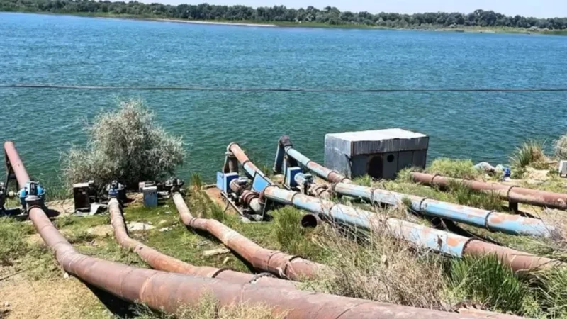 В Шардаринском водохранилище выявлены вопиющие факты незаконного водопользования