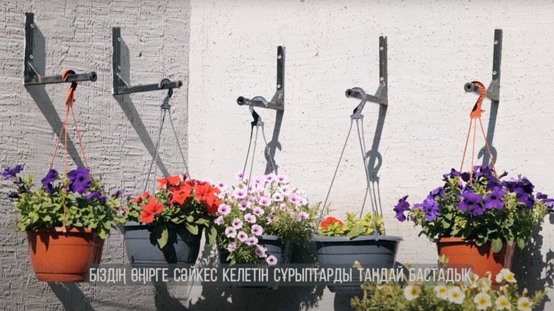 «Таза қала» приехал Аксай