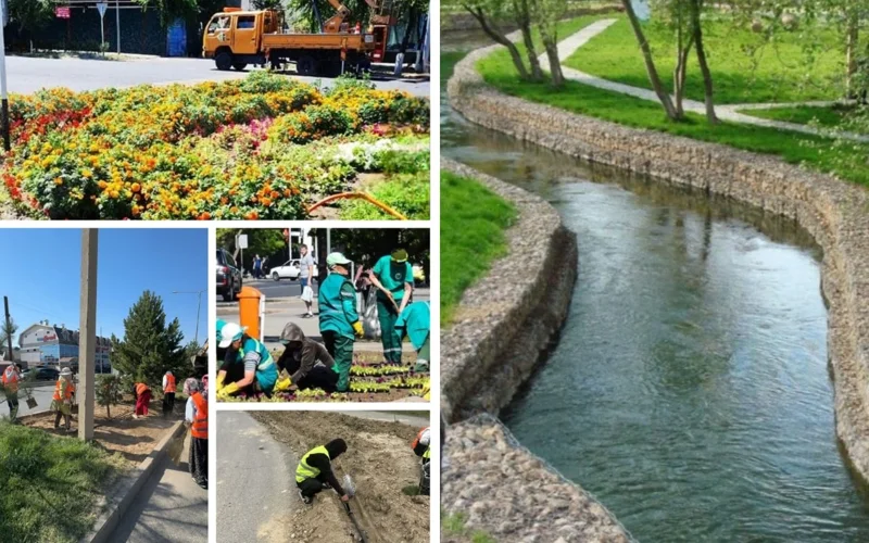 К концу года в Шымкенте появится более 450 тысяч квадратных метров зеленых зон