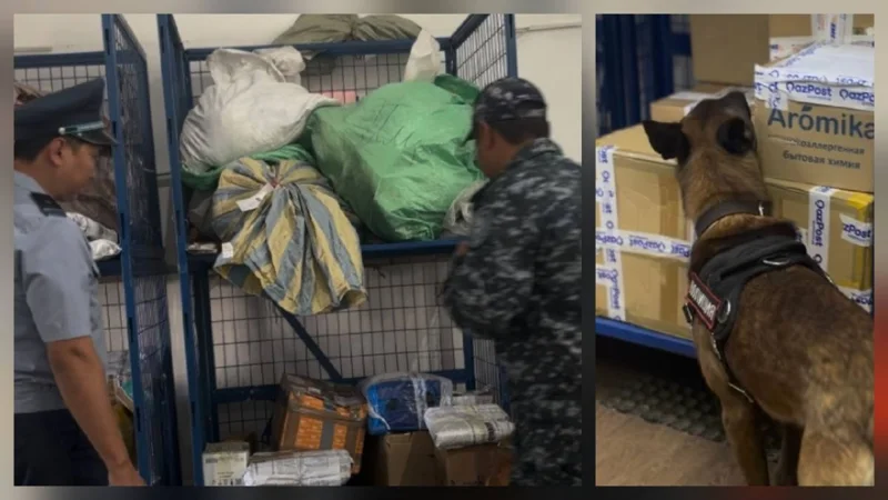 Полицейские проверили отделения почты в области Жетысу на наличие наркотиков