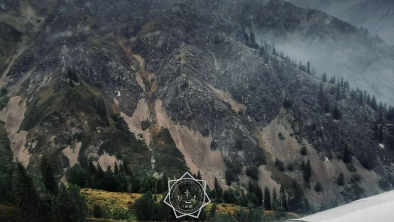 В области Жетысу полностью ликвидировали пожар в урочище Кокмойын