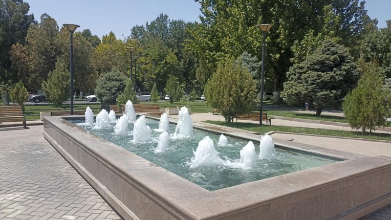 К концу года в Шымкенте появится более 450 тысяч квадратных метров зеленых зон К концу года в Шымкенте появится более 450 тысяч квадратных метров зеленых зон