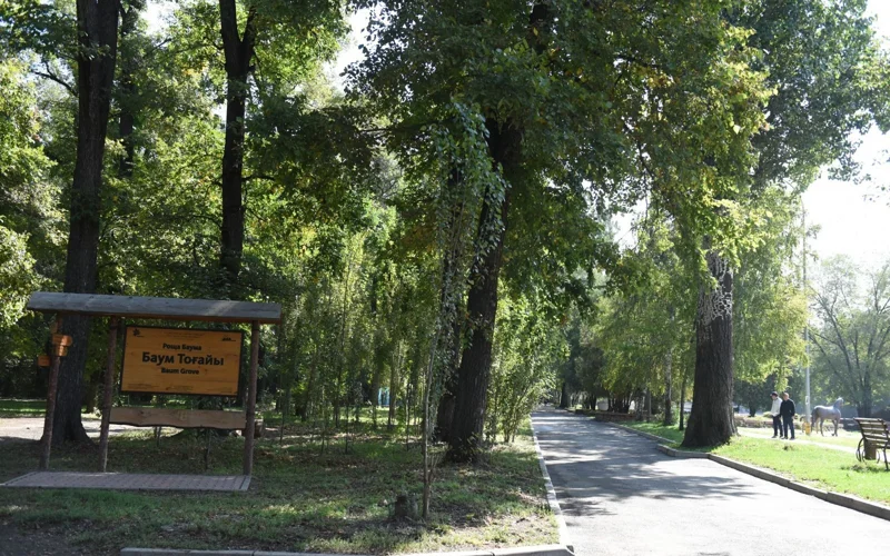 Благоустройство рощи Баума начнется в Алматы 