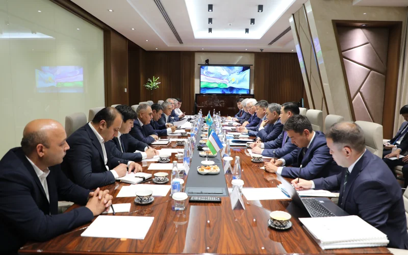 Ońtústik óńirlerdi sýmen qamtamasyz etý: Qanat Bozymbaev Bishkek pen Tashkentte kelissózder ótkizdi