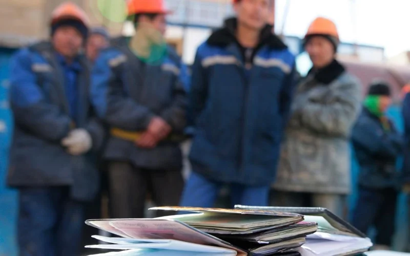 иностранцы, турдовые мигранты