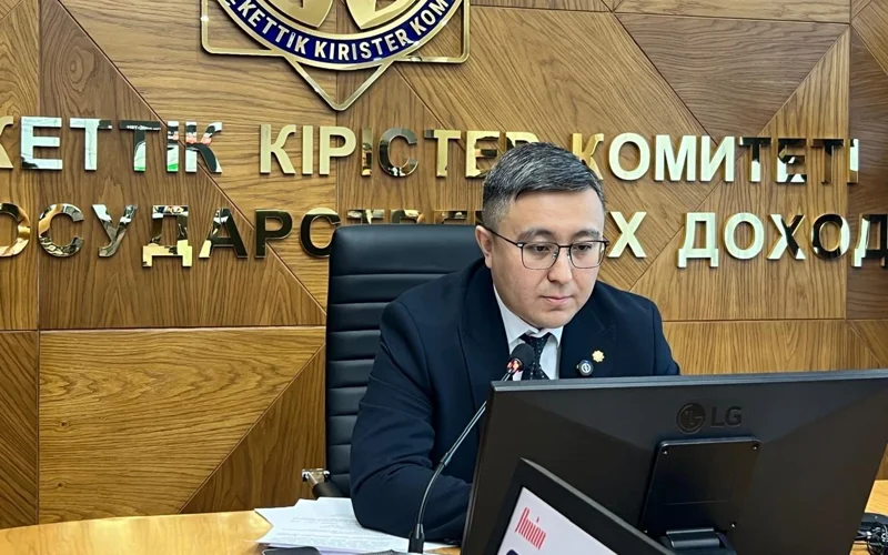 Казахстанцы получили 76 млн тенге кэшбэка за фискальные чеки — итоги пилота «Salyq кэшбэк»