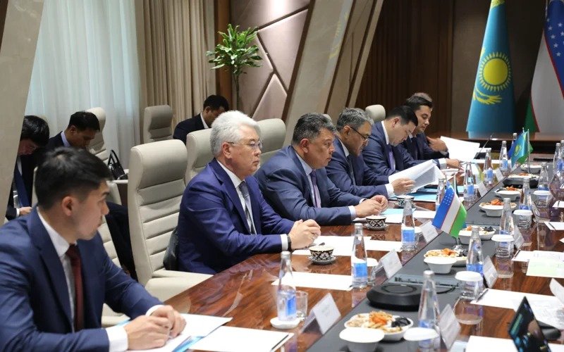 Irrigation water supply to southern Kazakhstan in focus of intergovernmental talks in Tashkent, Bishkek Irrigation water supply to southern Kazakhstan in focus of intergovernmental talks in Tashkent, Bishkek
