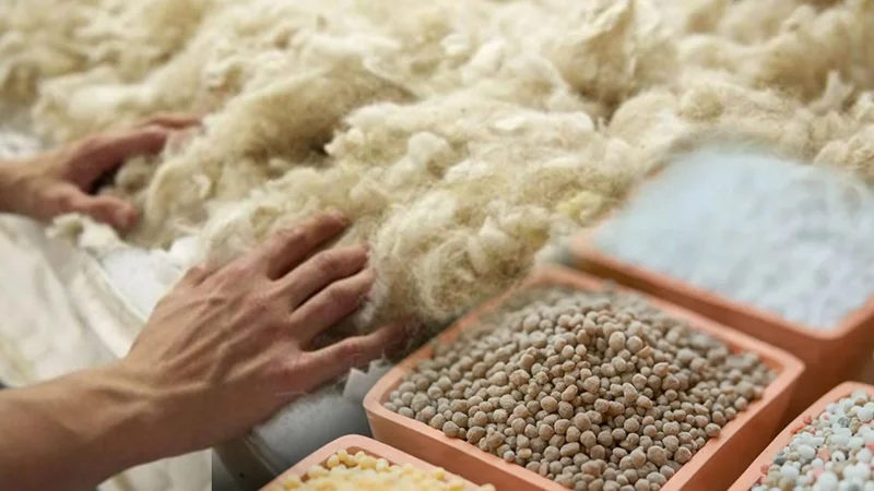 Қой жүнінен тыңайтқыш өндіру - егіншілікке экологиялық серпін