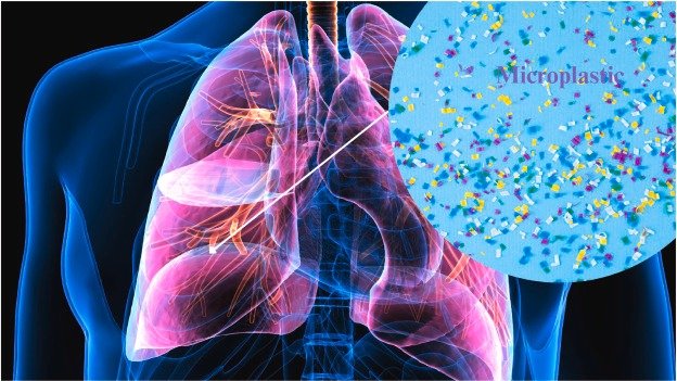 microplastics indoors, health, respiratory, bronchi