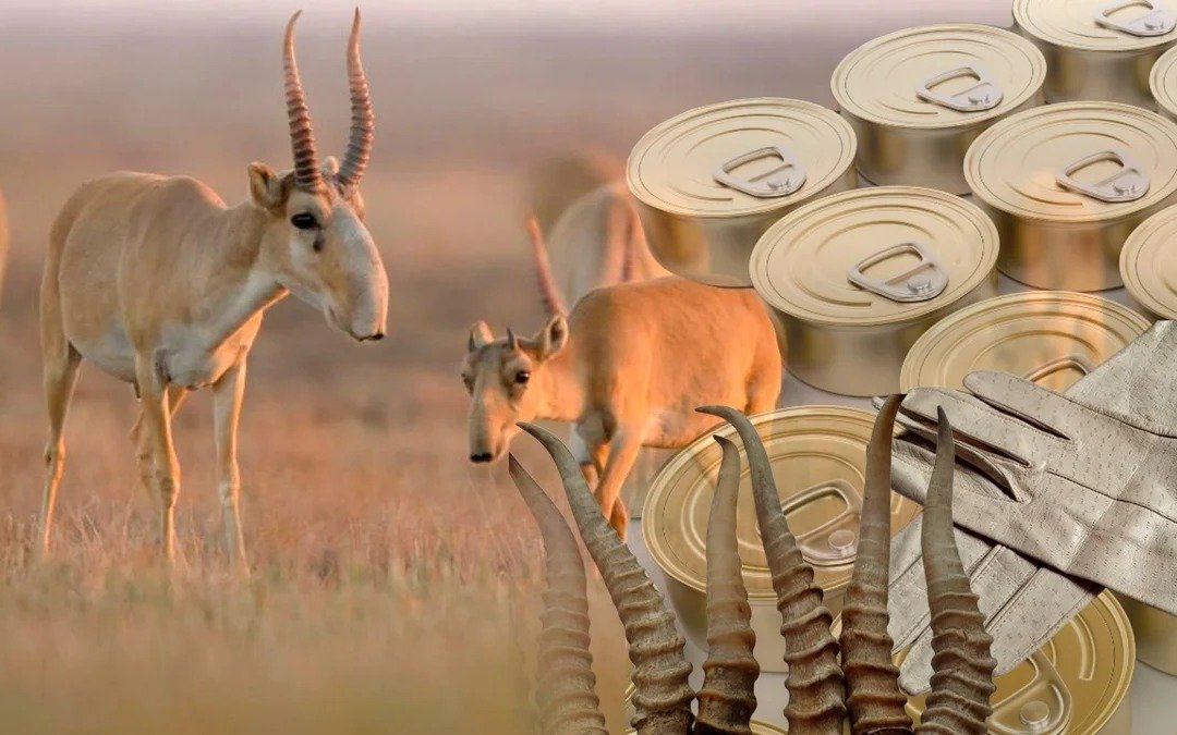 Қыздардың денесіне сурет салу видеосы Ирандық бағдарламашының порно сайты