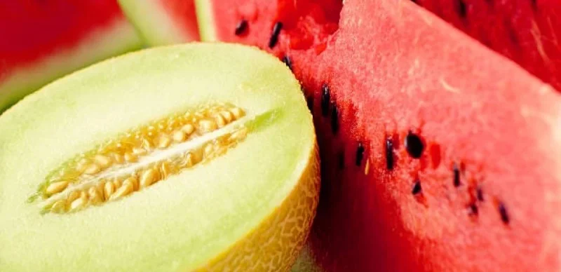 қауын, қарбыз