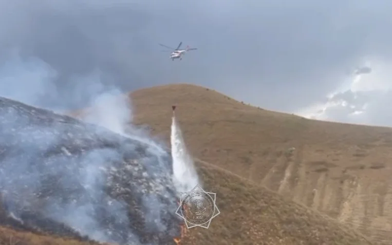 Пожар в горах Алматинской области ликвидировали