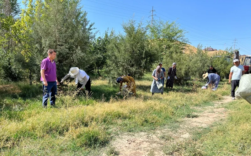 субботник в Шымкенте