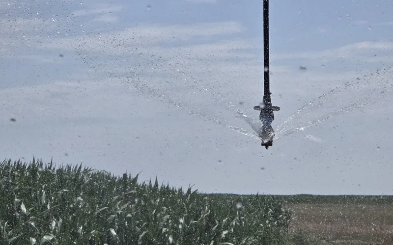 полив поливной сезон