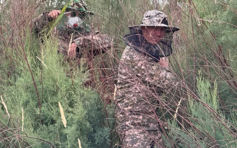 Поиски экипажа пропавшего вертолета 