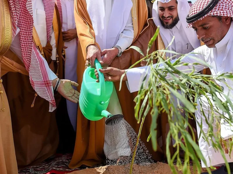 Green Qassim Land Initiative Plants Over 7.5 Million Trees in Its Latest Phase
