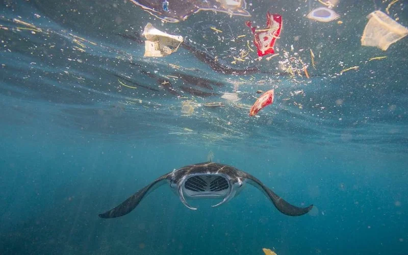 пластиковые отходы в океане