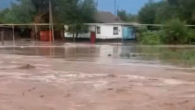 Мощный ливень затопил десятки дворов в селе Сарыозек области Жетысу