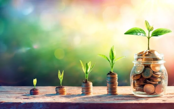 Green economy