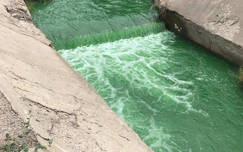 Вода окрасилась в зеленый цвет в алматинской реке Каргалы — начнется проверка