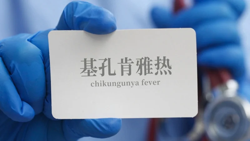  Чикунгунья безгегі