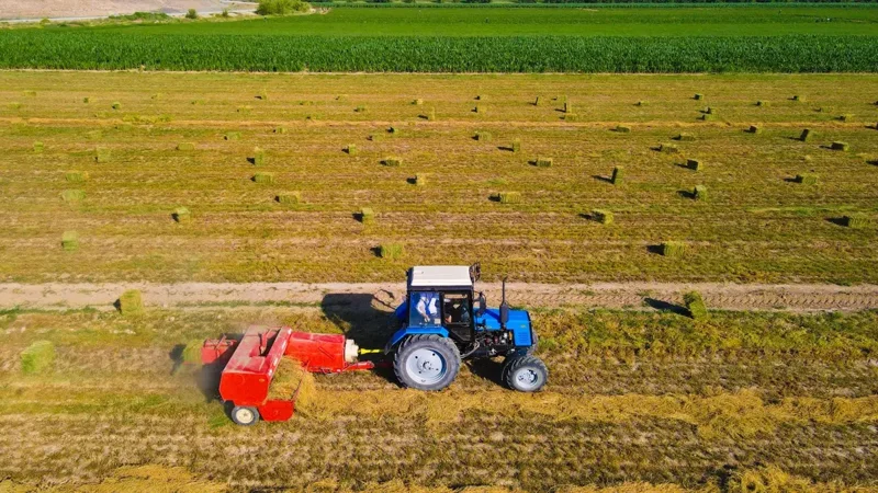 Сармоявий компаниялар Қозоғистонда ўғит ишлаб чиқаришни йўлга қўймоқда 