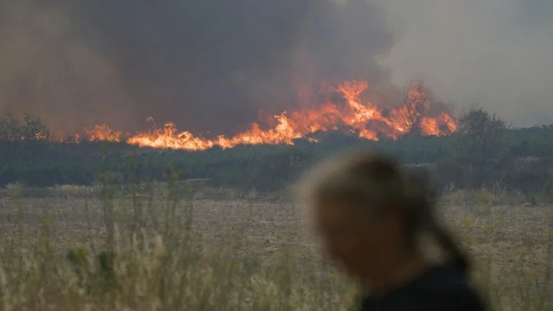 Францияда соңғы 76 жылдағы ең ірі орман өрті тіркелді