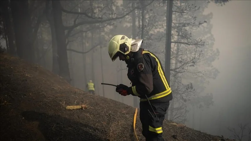 1 dead, 9 injured as southern France battles 'biggest fire of summer'