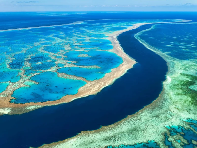 Australia's Great Barrier Reef suffers worst coral decline on record