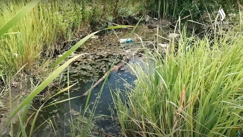 «Таза қала» в Темиртау: как поддерживается чистота в городе металлургов