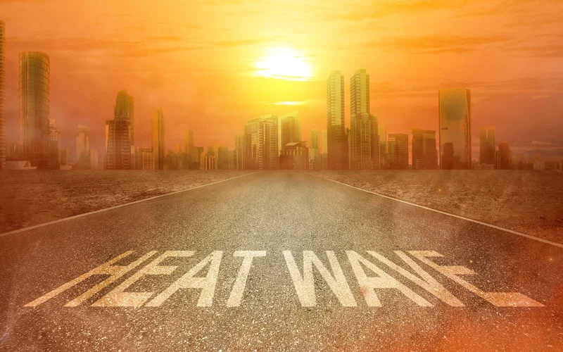 Heat wave, climate, weather, sun, ecology