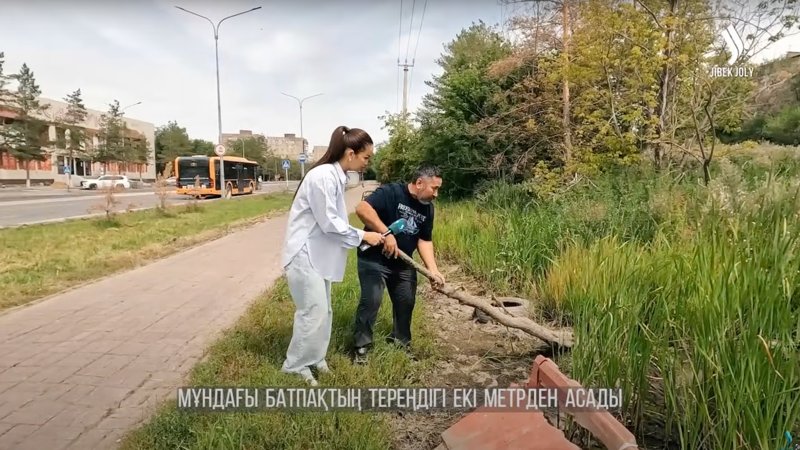 Қала ортасындағы батпақ пен қамыс