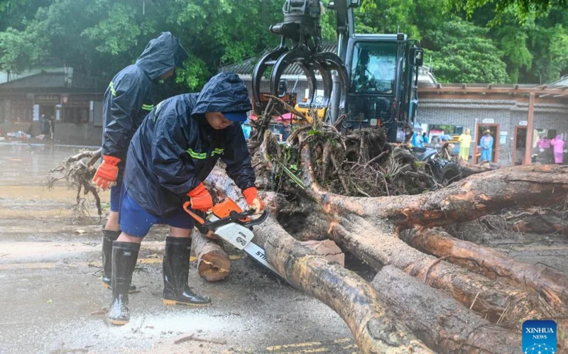 Қытайдағы көшкін салдары