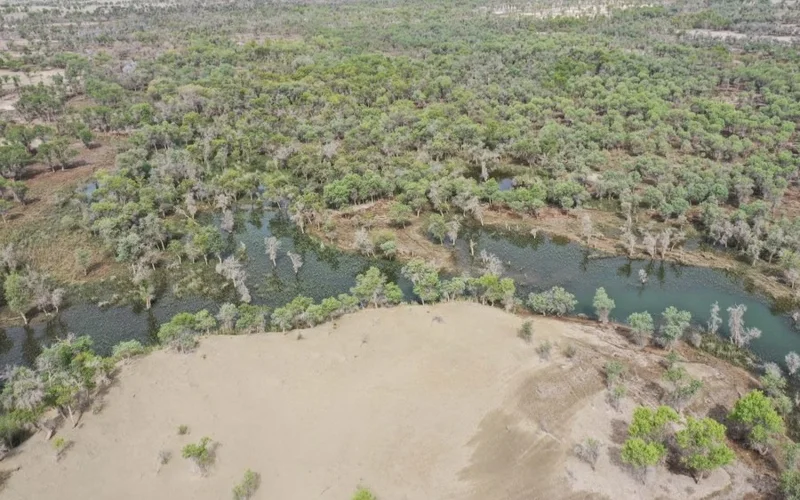 Китай создаст многоязычную базу данных о растениях Центральной Азии